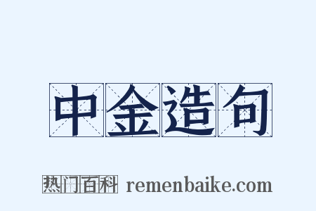 中金造句是什么意思的图片